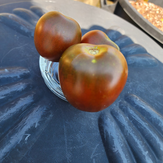 Tomato - Black Ethiopian