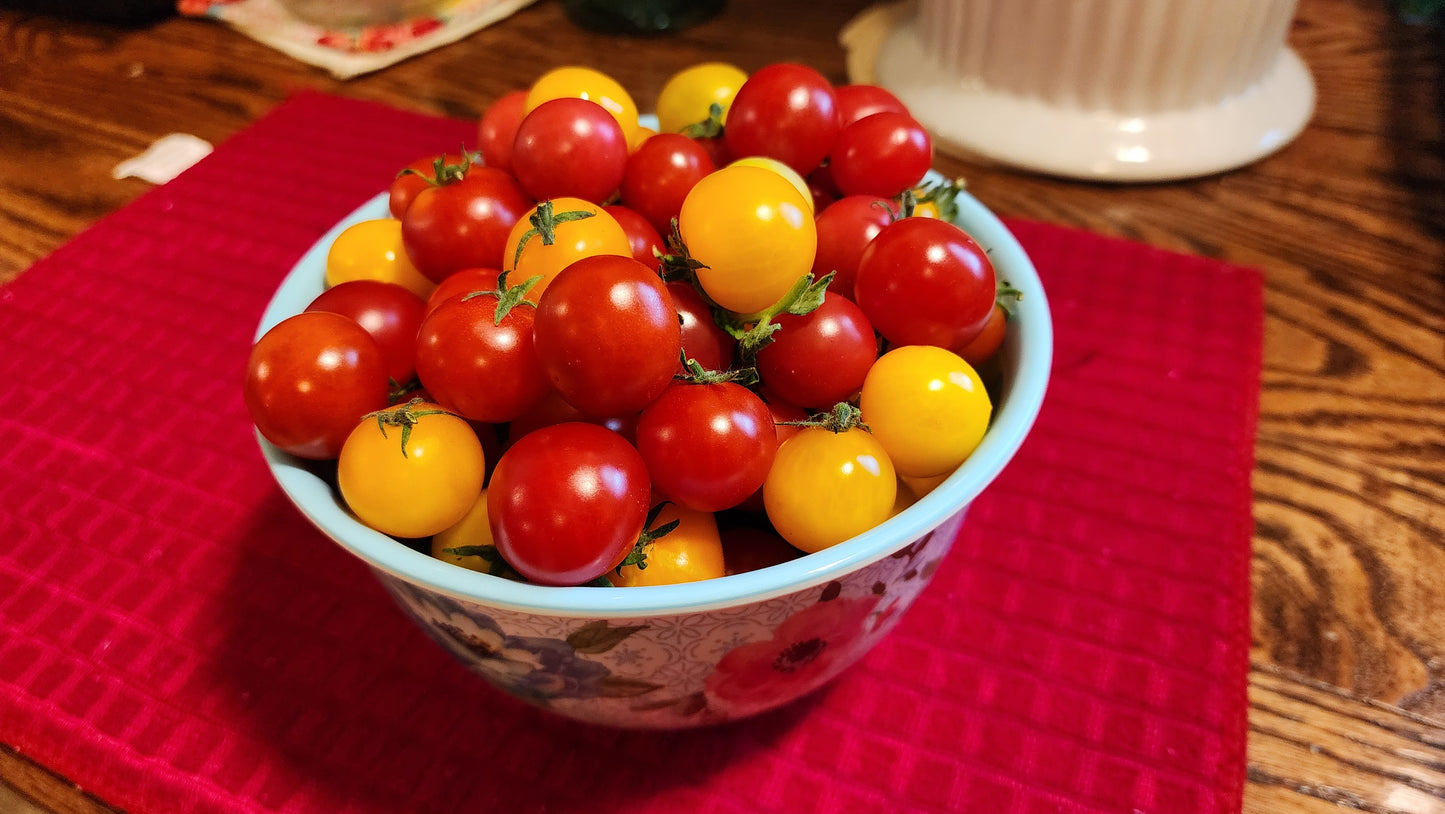 Birdie Rouge with Aztec Micro/Dwarf tomatoes