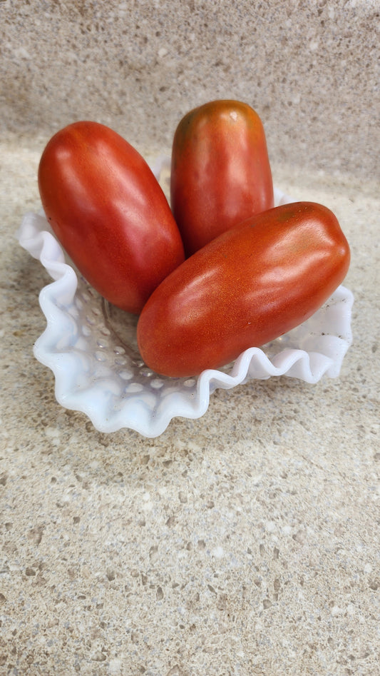 Tomato - San Marzano