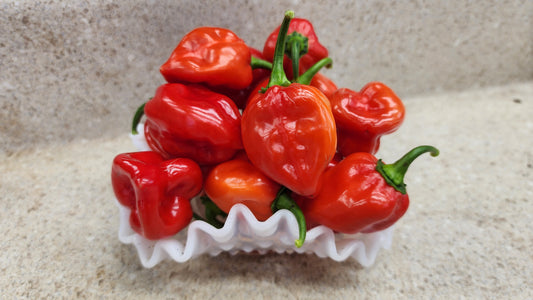 Pepper - Red Habanero