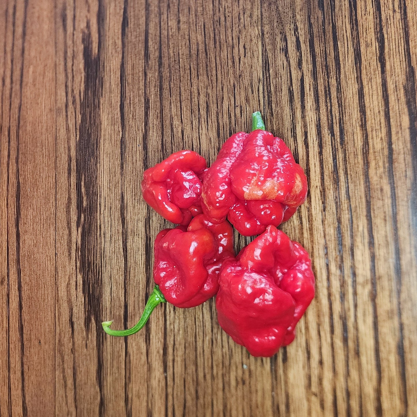 Pepper - Aji Margariteno Red