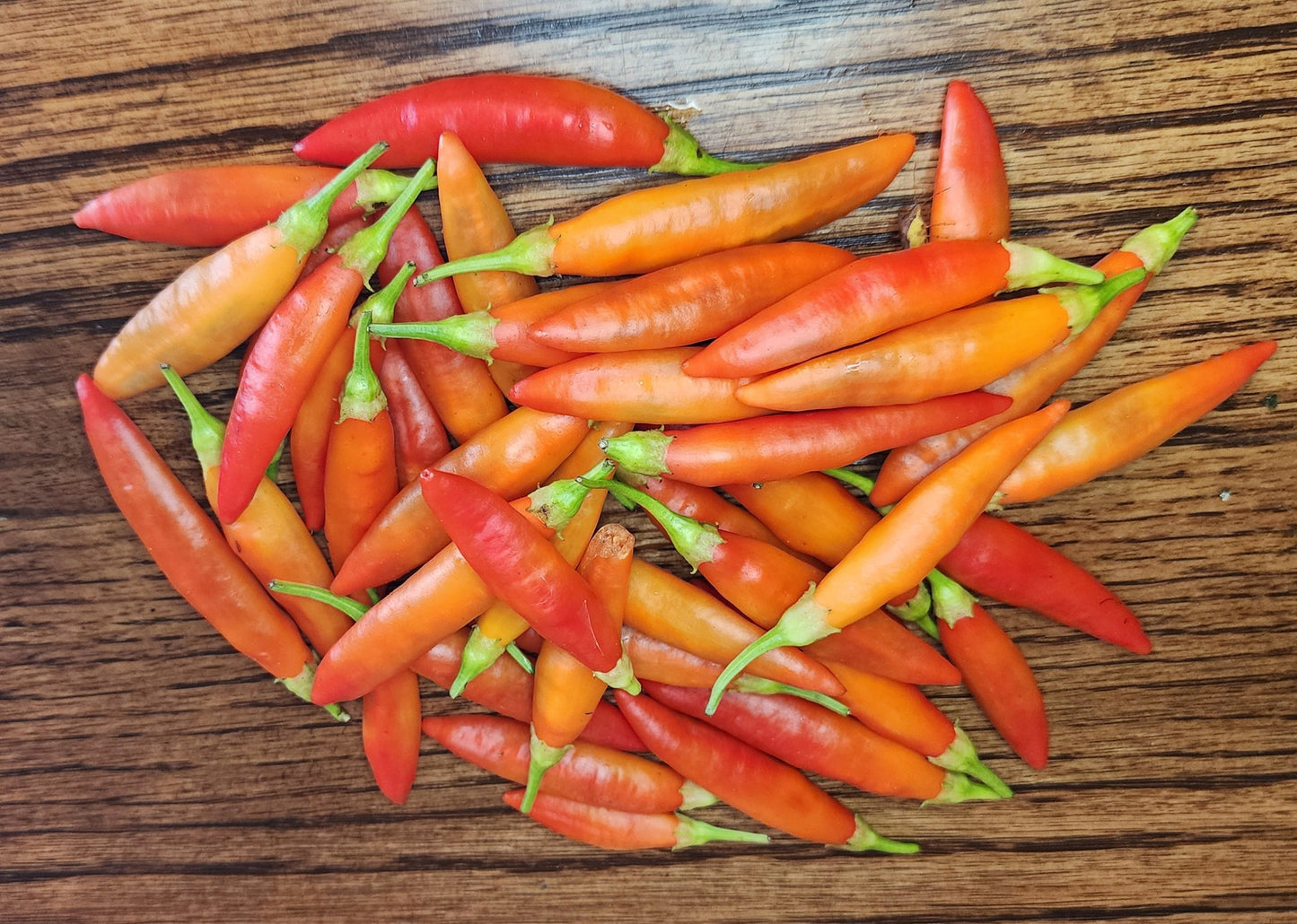 Pepper - Aji Peruvian