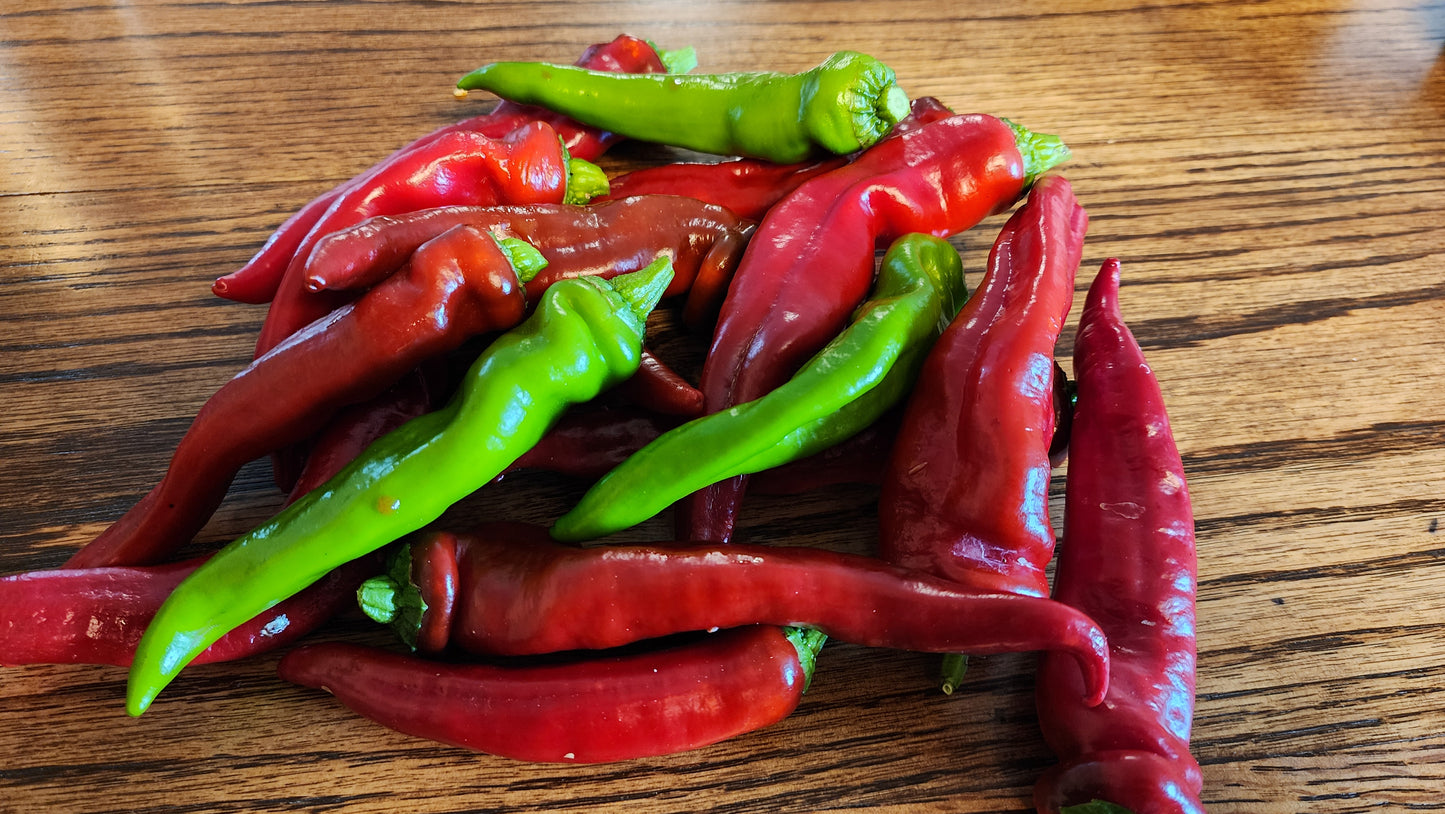 Pepper - Manganji Togarashi