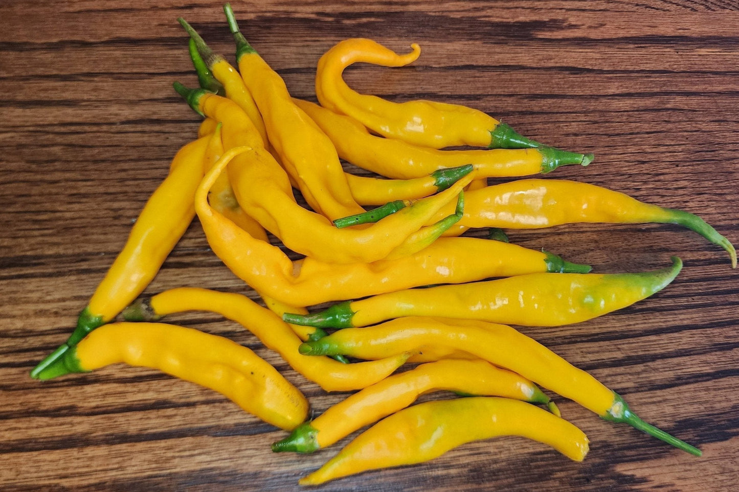 Pepper - Aji Guyana