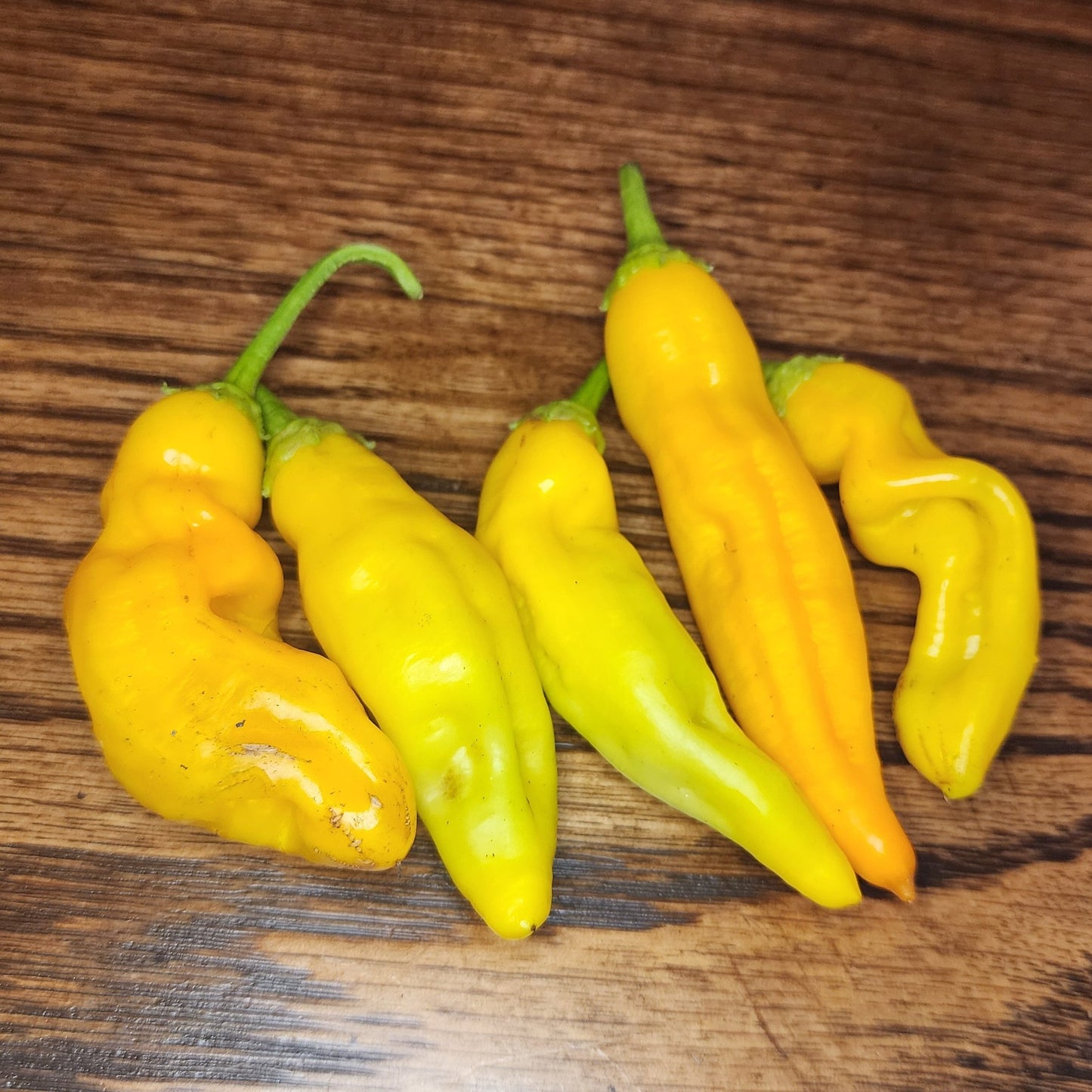 Pepper - Aji Ahuachapan