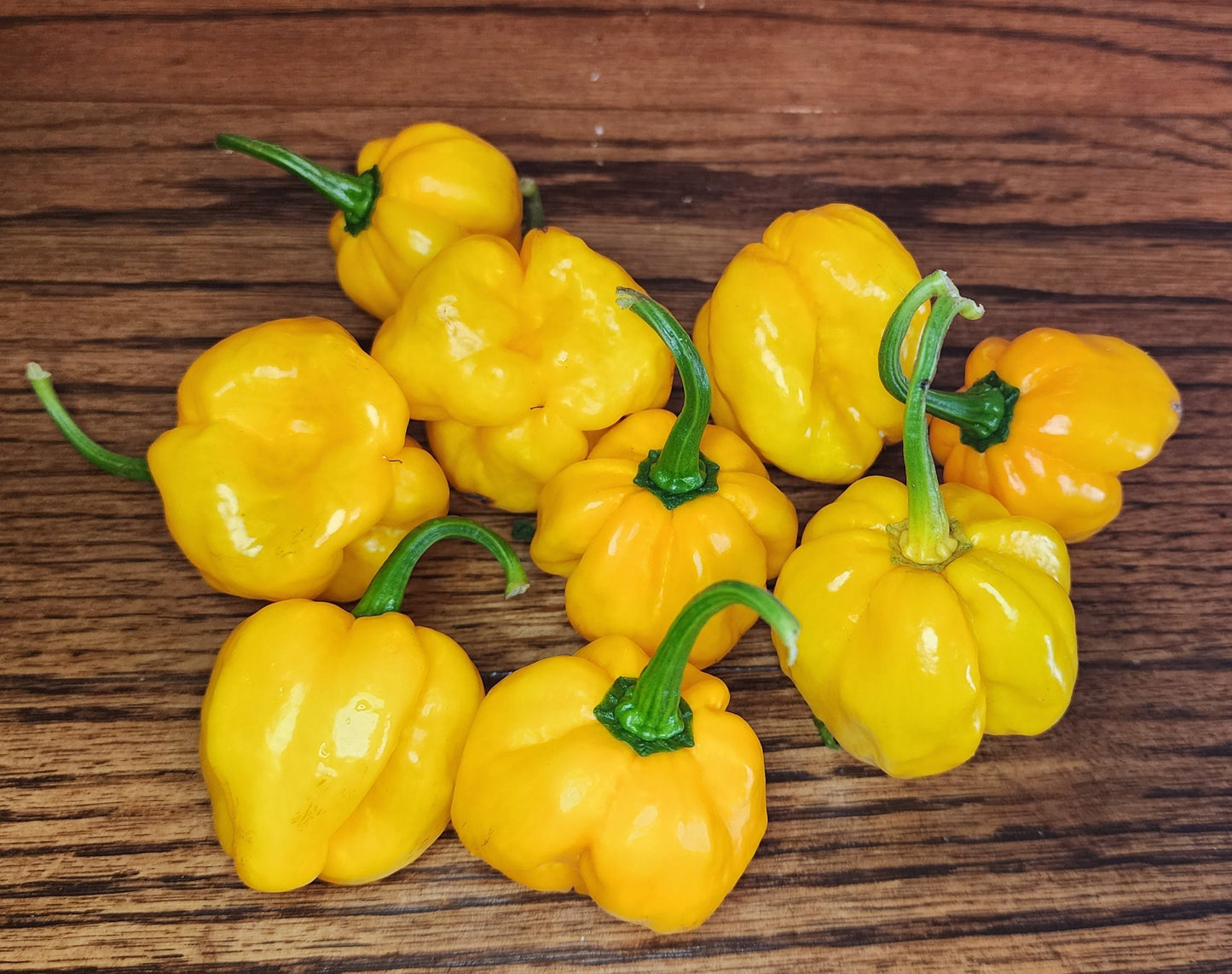 Pepper - Aji Margariteno Yellow