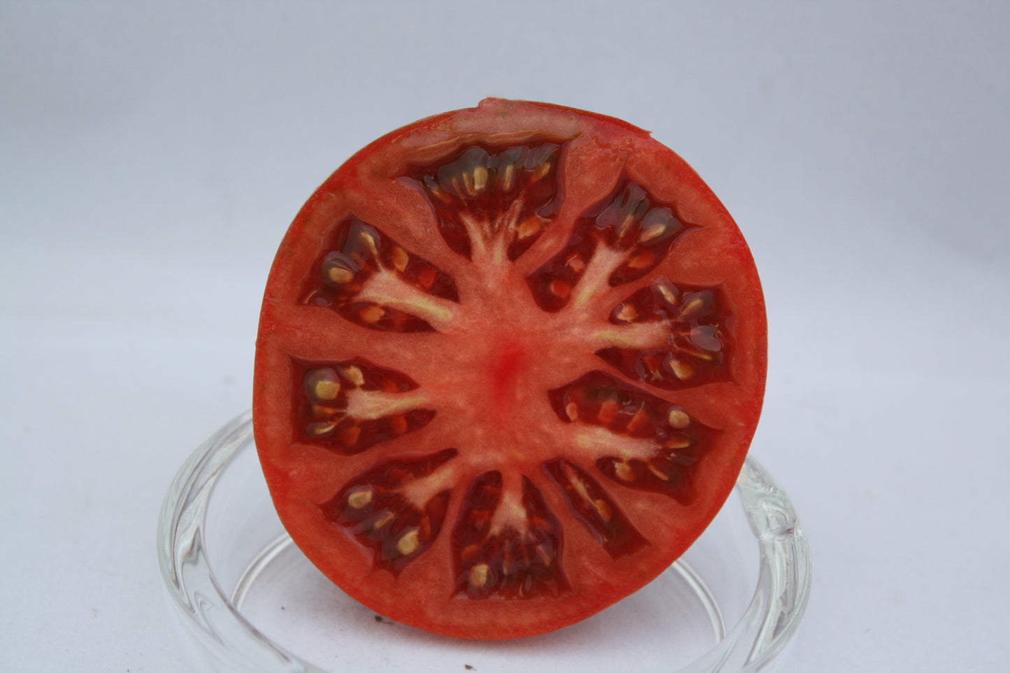 Tomato - Cherokee Purple