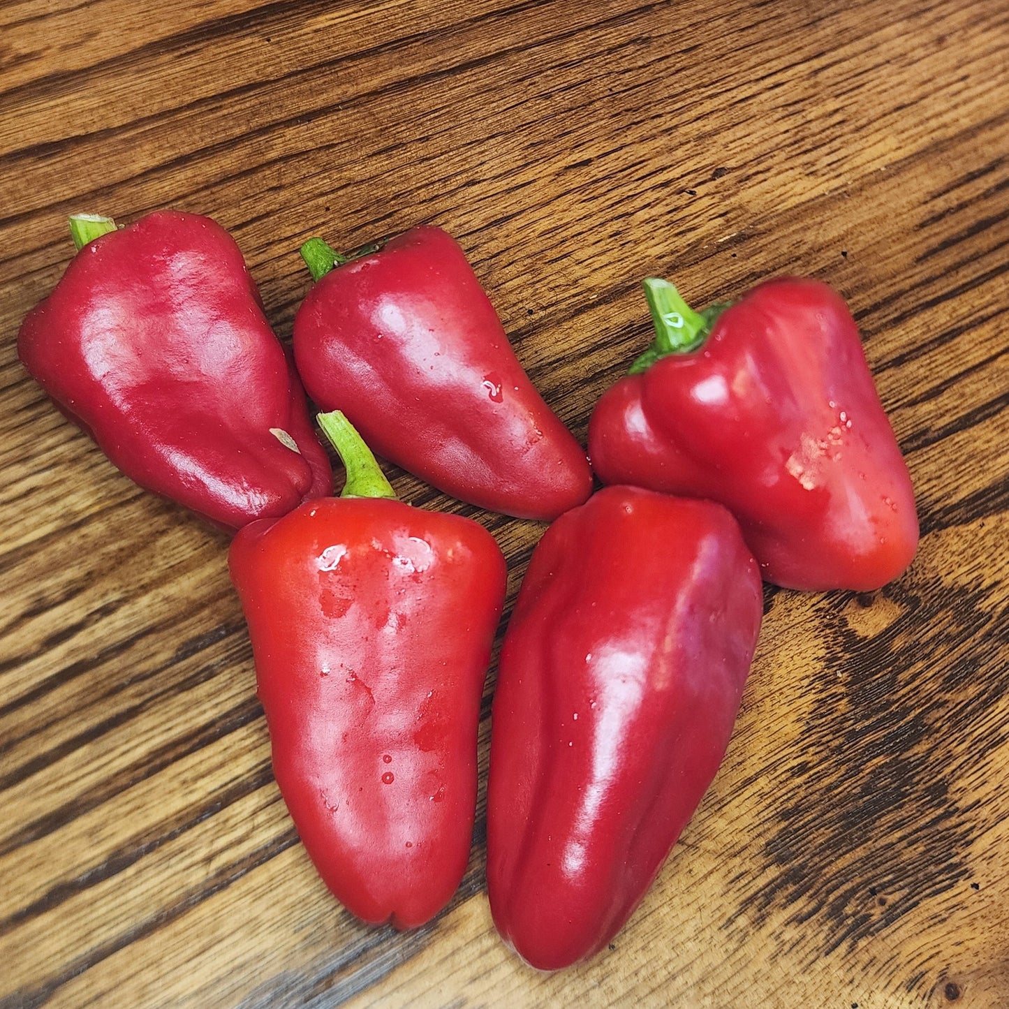 Pepper - Hungarian Paprika