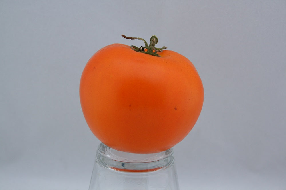 Tomato - Heritage Cottage Orange