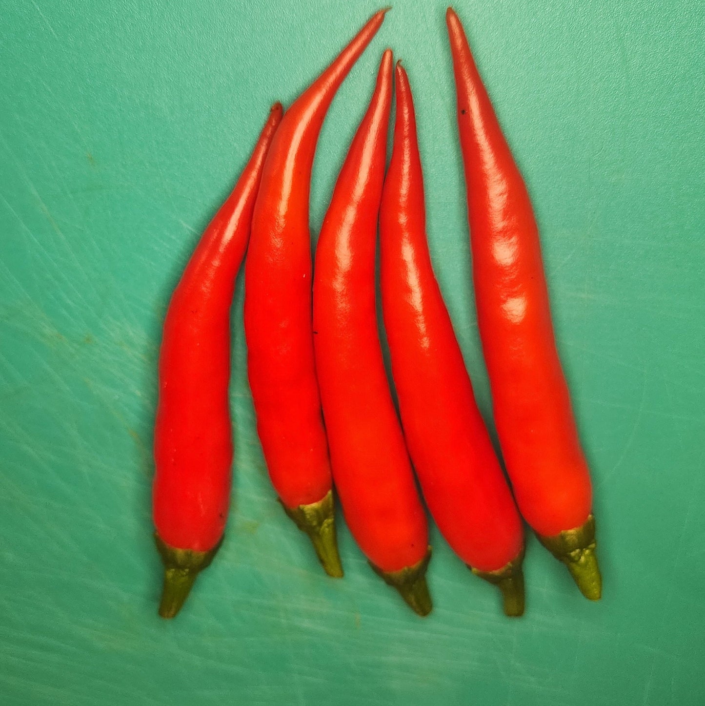 Pepper - Piment d'Espelette